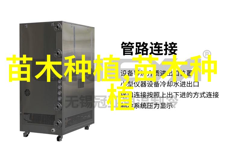 榆树干腐病的防治
