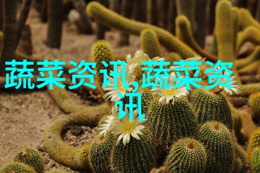 bim国内发展现状及未来展望