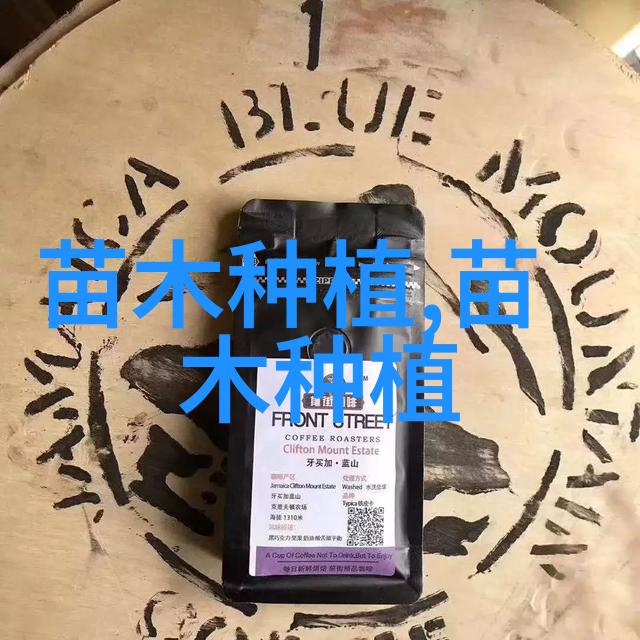 杨树烂皮病的危害及防治措施